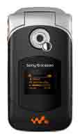 Sony Ericsson SONYERICSSON W300